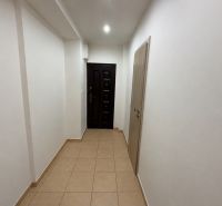 A hallway in a 2-room apartment with a tiled floor and dark doors.