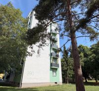 An apartment building surrounded by greenery on Palárikova Street in Senica offers 2-room apartments.