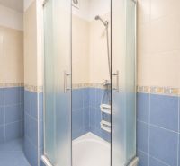 Bathroom with a shower and blue tiles in a studio apartment.