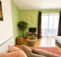 Living room of a one-bedroom apartment with a wooden decor floor, green wall, comfortable sofa.