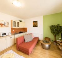 Living room with wood-patterned flooring, an orange sofa, and a kitchenette in a studio apartment.