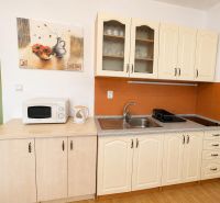 A kitchen unit with a microwave and wall decor in a studio apartment.