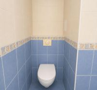 A toilet with blue tiles and a wall-mounted toilet in a studio apartment.