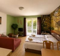 A studio apartment with a decorative wall and wood-patterned flooring, furnished with furniture.