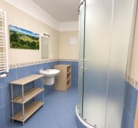 A bathroom in a studio apartment with a shower, a sink, and a shelving unit.