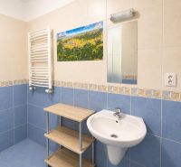 A bathroom with blue tiles in a studio apartment, a sink, and wall decoration.