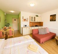 1-room apartment with wood-patterned flooring, a kitchenette, and a sofa bed.