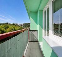 The balcony of a one-room apartment with green walls, overlooking nature and rooftops.