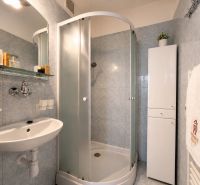 A bathroom in a studio apartment with a corner shower and a modern sink.