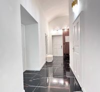 A hallway in a 3-room apartment with an elegant black floor and lighting.