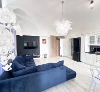 Interior of a 3-room apartment with a dark sofa, wooden decor flooring, and a stylish chandelier.