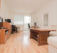 Living room in a three-room apartment with wood-patterned flooring and furniture.