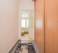 Hallway of a 3-room apartment with a wooden decor floor and carpet.