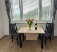 Dining area with flowers on the table, wooden decor flooring in a studio apartment.