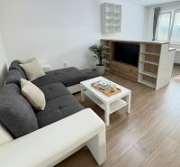 Living room in a studio apartment with a wooden decor floor and a comfortable sofa.