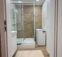 A bathroom in a studio apartment with a wooden decor floor, a shower corner, and a washing machine.