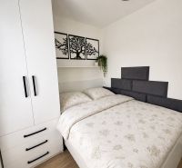 A bedroom in a studio apartment with a built-in wardrobe, a bed, and a wooden decor floor.