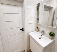 A bathroom in a studio apartment with a sink and a wooden decor floor.