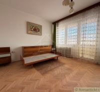 Interior of a family house with a wooden decor floor, retro furniture, and large windows.