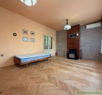 Living room with a fireplace, wood-patterned flooring, and a sofa bed in a family house.