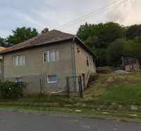 A family house in Olovary with a simple facade and a spacious plot near the forest.