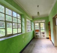 Winter garden of the family house in Olováry with large windows and green walls.