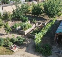 A garden at a family house in Bratislava with raised beds and vegetation.