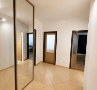 A hallway in a 3-room apartment with a large mirrored wardrobe and tiles.