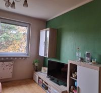 Living room with wooden decor, television, and a green wall in a two-room apartment.