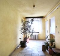 Interior of a family house with houseplants, a wooden chair, and tiled flooring.