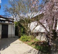 A family house on Ľ. Štúr Street in Veľký Krtíš with a terrace and a blooming sakura.