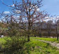 A garden with a flowering tree at a family house on Ľ. Štúr Street in Veľký Krtíš.