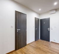 A hallway in a 4-room apartment with a wooden decor floor and doors.