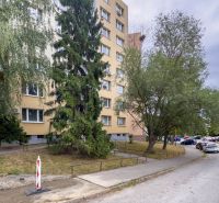 Benadová Street in Košice - Dargovských hrdinov district with an apartment building and trees.
