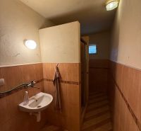 A bathroom in a family house with a wooden decor floor and a shower corner.
