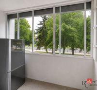 Glazed loggia with greenery outside the window in a 4-room apartment.