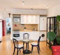 Spacious kitchen in a 2-room apartment with a wooden decor floor and a houseplant.