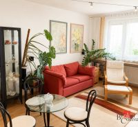 Living room in a two-room apartment with a red couch and plants.