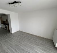 Living room of a three-room apartment with a wood-patterned floor and a kitchen on the left side.