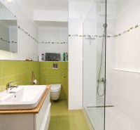 A bathroom in a 2-room apartment with a sink, green tiles, and a shower corner.