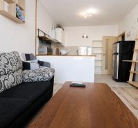 Living room with a sofa, wood-patterned floor, kitchen, and black refrigerator in a two-room apartment.