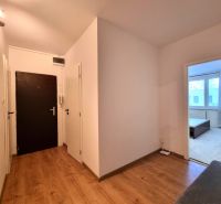 A hallway with a wooden decor floor and an entrance to a room in a 2-room apartment.