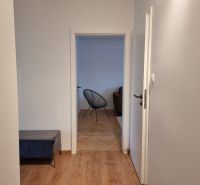 A hallway in a 2-room apartment with a wooden decor floor and a view into the living room.
