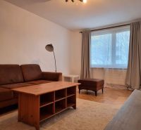 Living room in a two-room apartment with a wooden decor floor, a brown sofa, and a coffee table.