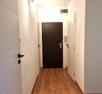 A hallway in a 2-room apartment with a wooden decor floor and white doors.