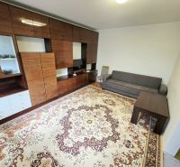Living room in a 3-room apartment with furniture and a carpet on a floor with a wooden decor.
