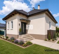 A family house in Nitra with a garden, lawn, and ornamental plants under a blue sky.