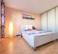 A bedroom with wood-patterned flooring, a bed, and a wardrobe in a studio apartment.