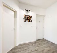 A hallway in a 2-room apartment with a wooden decor floor and white doors.