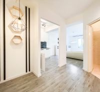 A hallway in a 2-room apartment with a wooden decor floor and modern lighting.